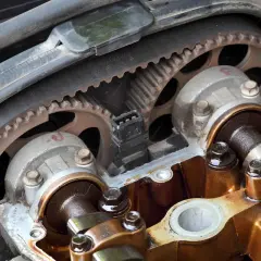 Moteur de Tiguan TDI 110 : quand changer courroie de distribution ? Gros plan sur la courroie crantée et les arbres à cames.