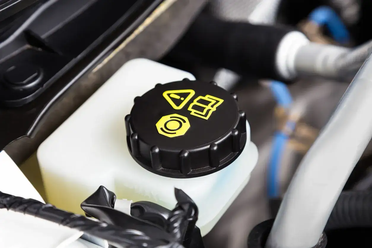 Bouchon noir avec symbole liquide de refroidissement sous le capot. Le r&eacute;servoir blanc est visible.