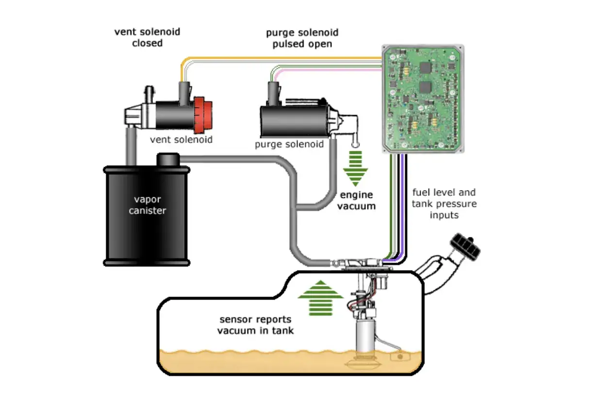Sch&eacute;ma du syst&egrave;me de contr&ocirc;le des &eacute;missions. Un canister bouch&eacute; peut causer des sympt&ocirc;mes de mauvaise performance moteur.