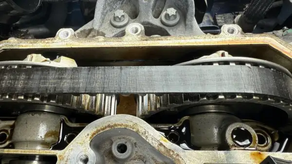 Courroie de distribution usée sur une Citroën C3, signe d'un rappel nécessaire pour éviter la casse moteur.